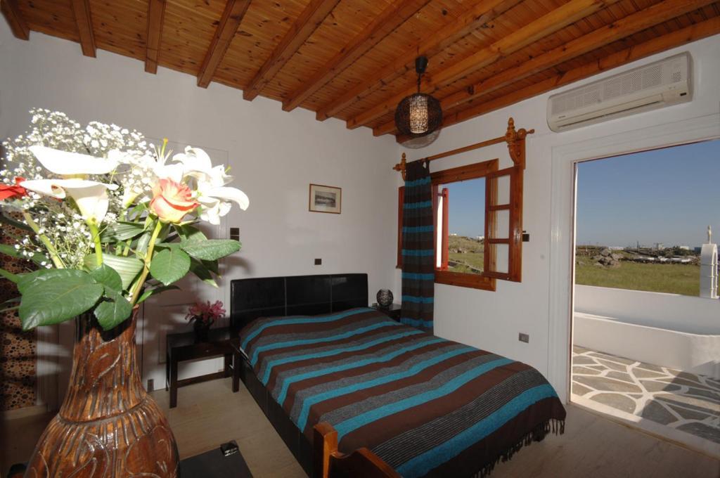 Villa Vasilis Mykonos Town Екстериор снимка